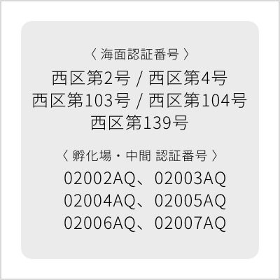 EU向け輸出水産食品取扱施設等認定書