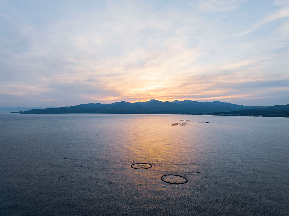 三厩海面養殖場