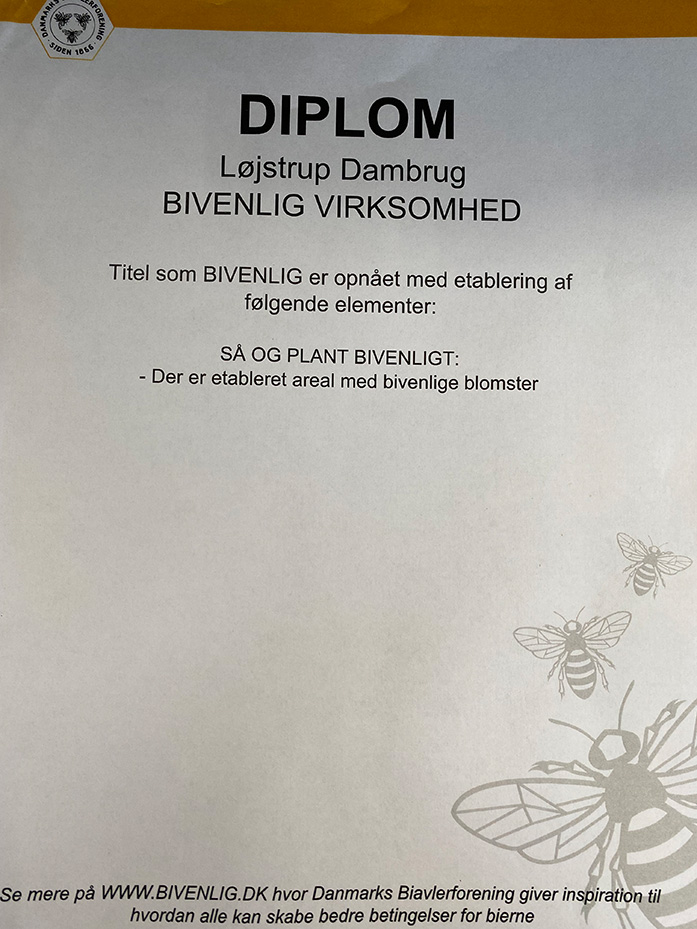 Bee DIPLOM