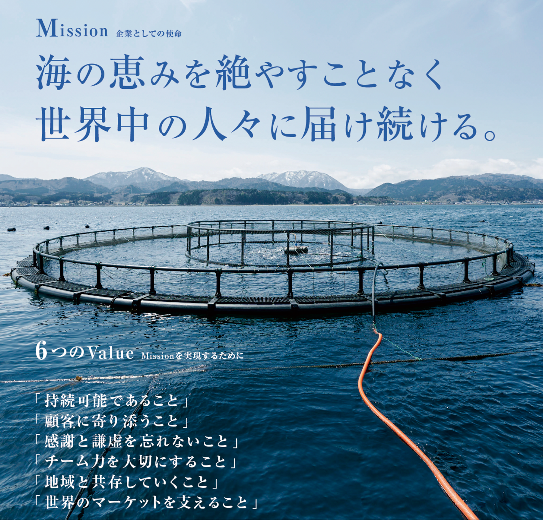 ミッション、バリュー