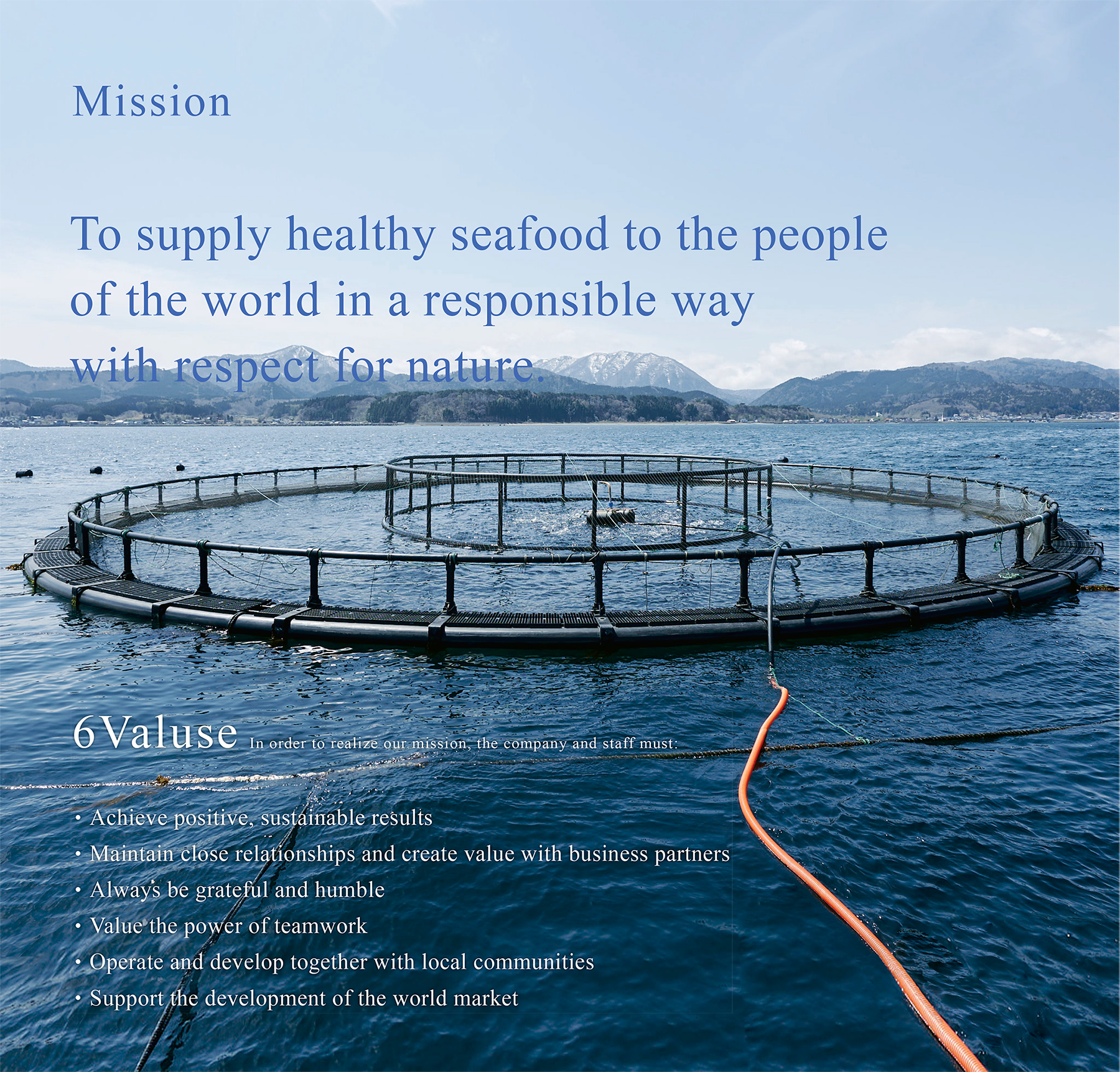 Mission,Values