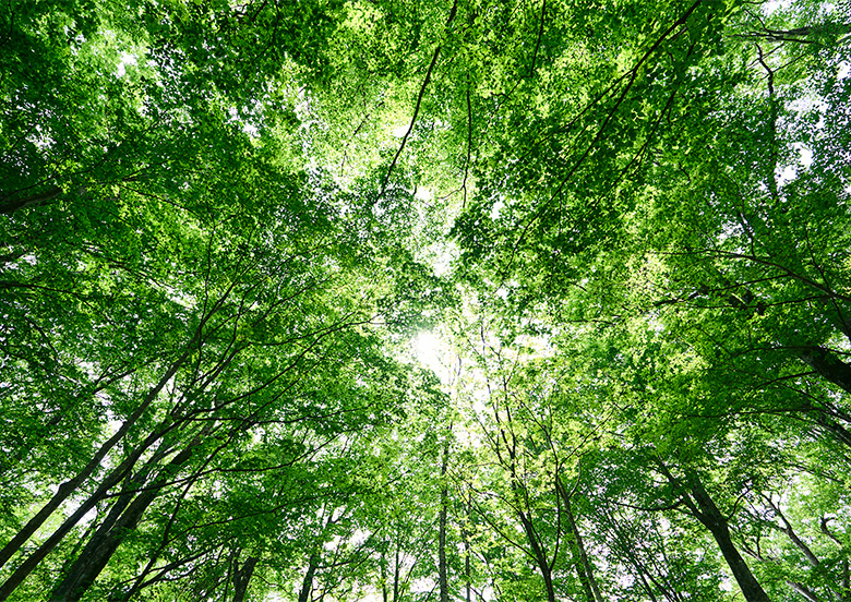 Environmental